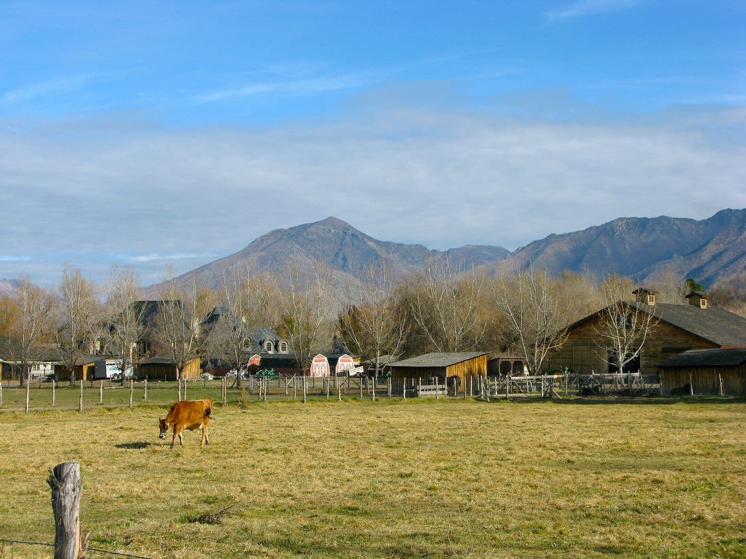 ABA Therapy in Murray, Utah